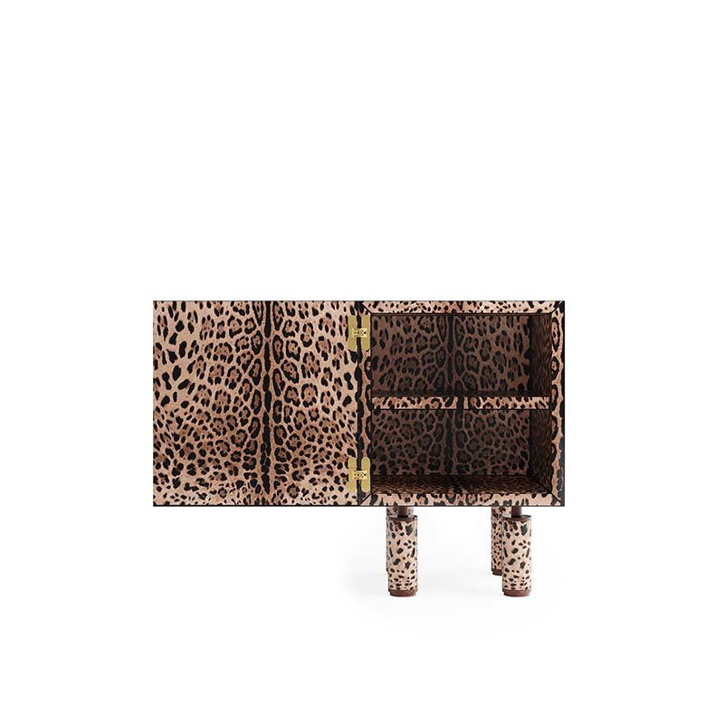 Priamo cabinet