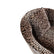 dolce-gabbana-casa-rosa-armchair-leopardo-detail